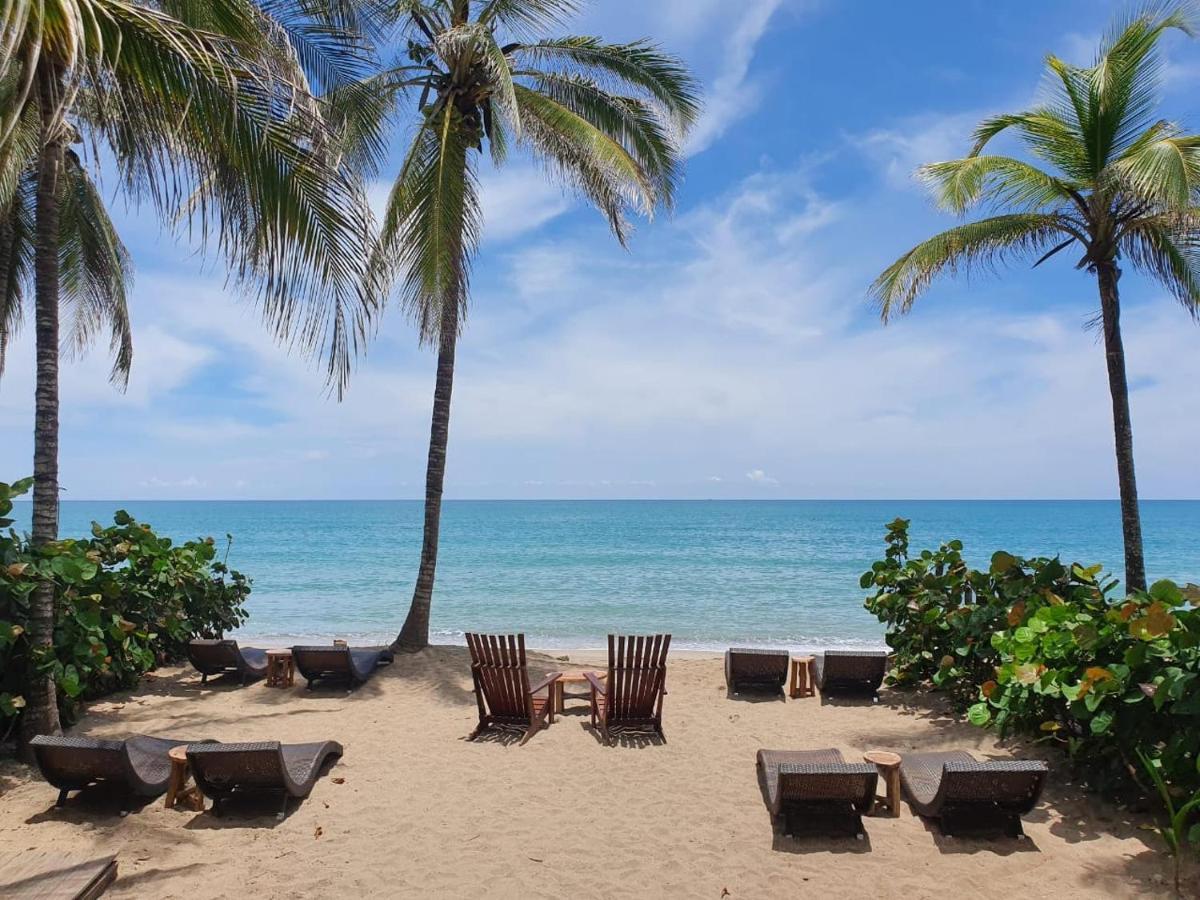 Makao Beach Hotel Palomino Ngoại thất bức ảnh