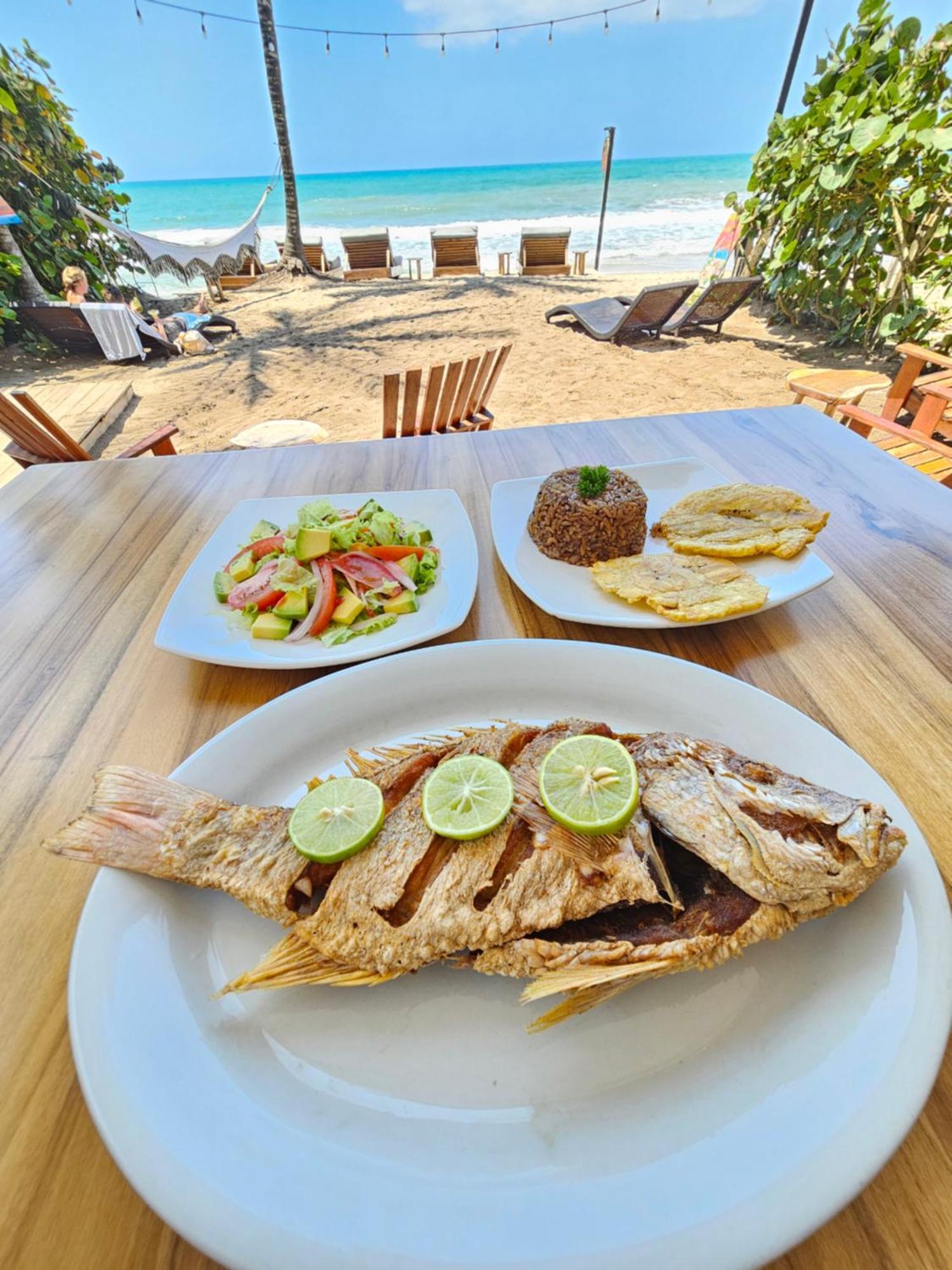 Makao Beach Hotel Palomino Ngoại thất bức ảnh