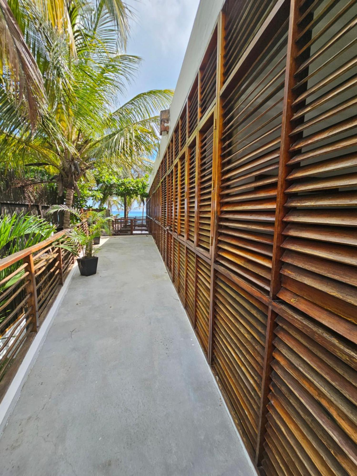 Makao Beach Hotel Palomino Ngoại thất bức ảnh